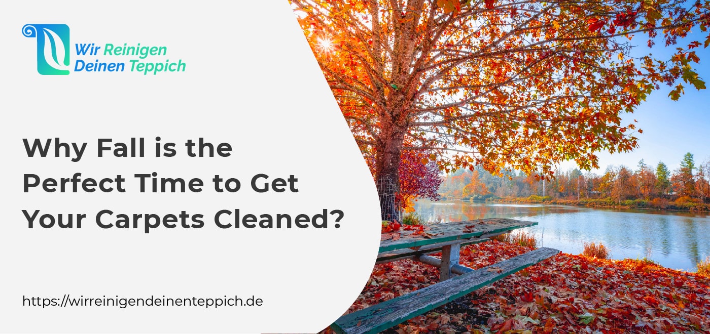 Carpet Cleaning during Fall