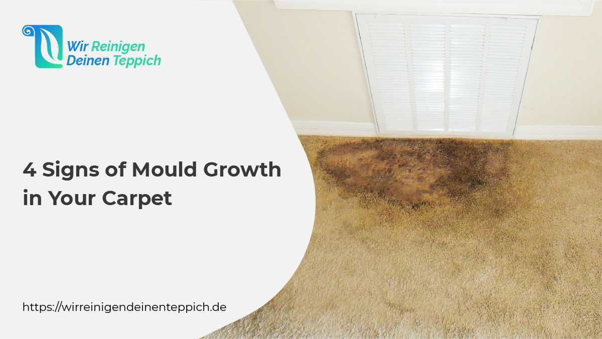 Signs of Mould growth