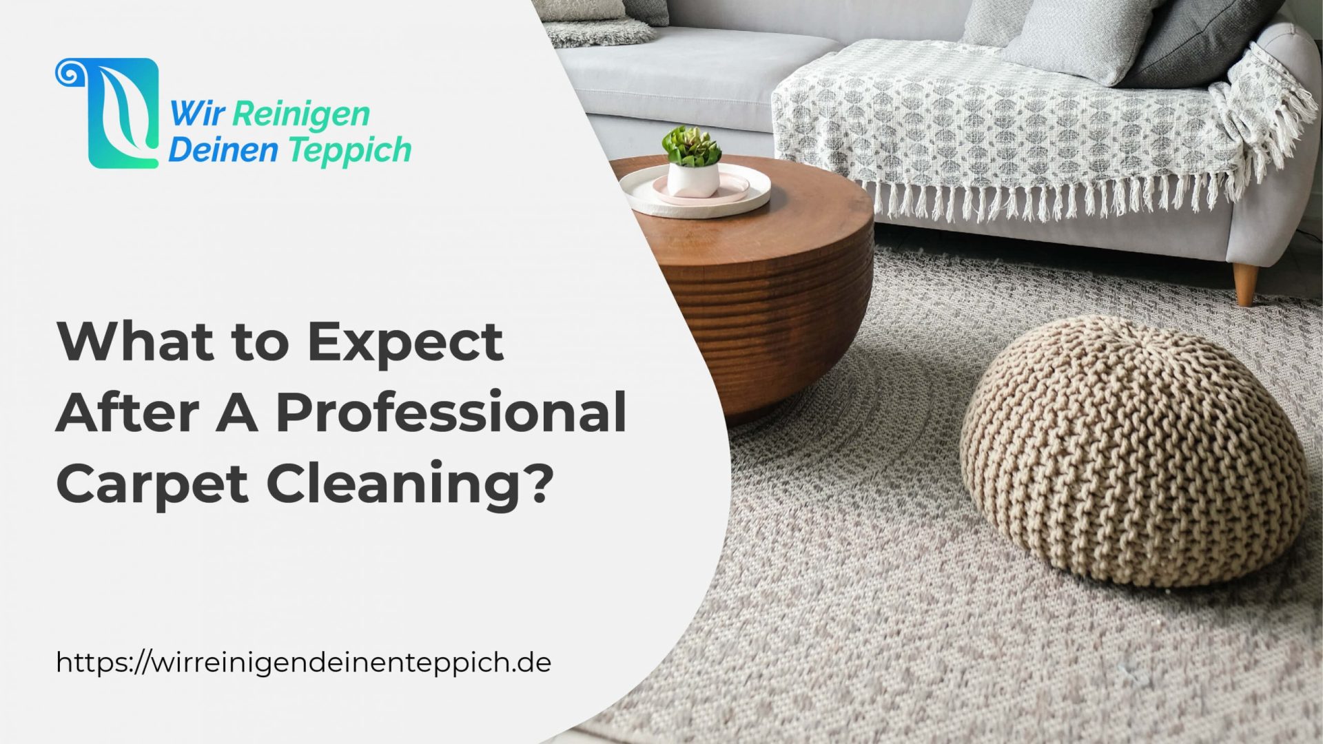 What to Expect After a Professional Carpet Cleaning