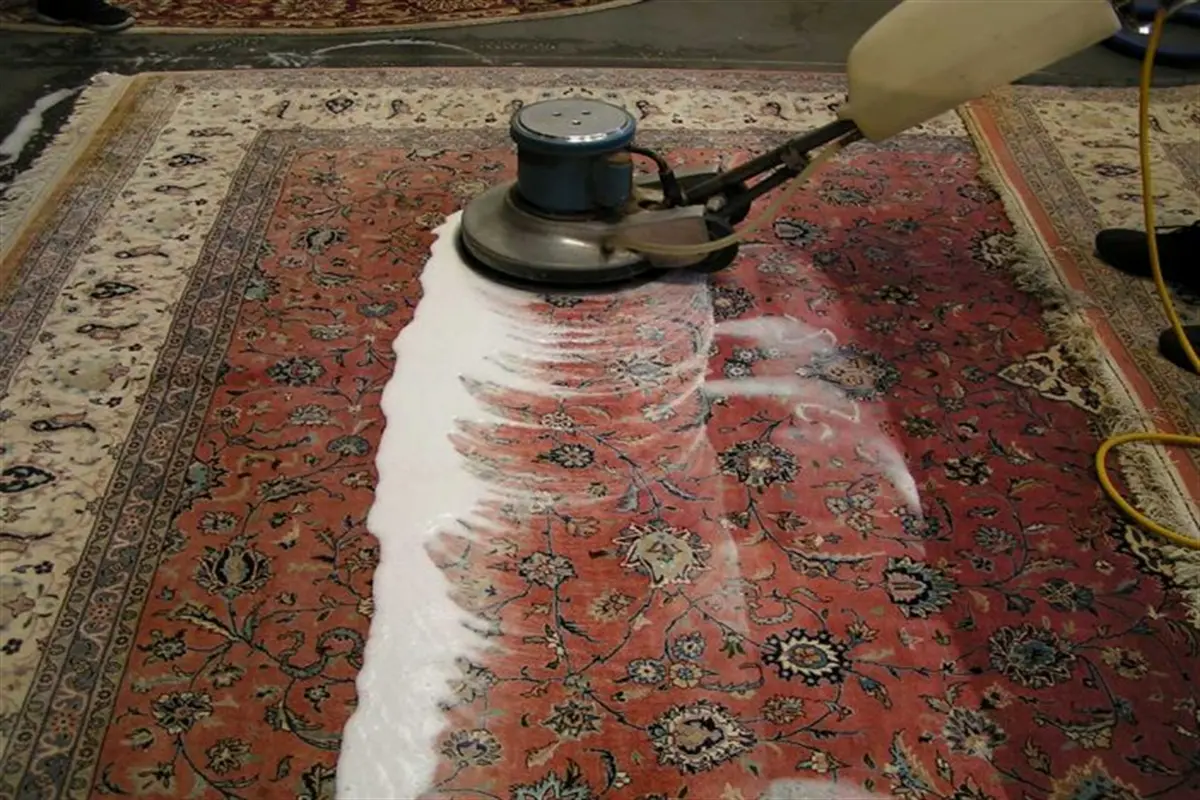 Silk Carpet Cleaning WRDT