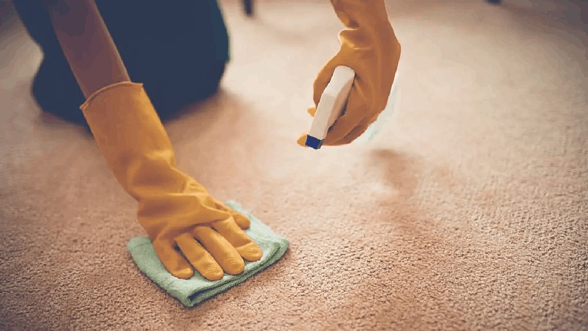 alte flecken aus teppichboden entfernenn